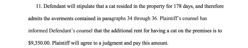 Illustration for article titled Ex-Landlord Sues JaVale McGee For Illicit Cat Possession, Property Damage